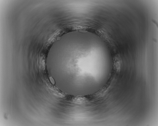 X0000102250716200807251322