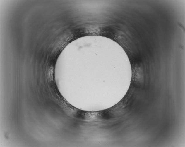 X0000102250717200807251322