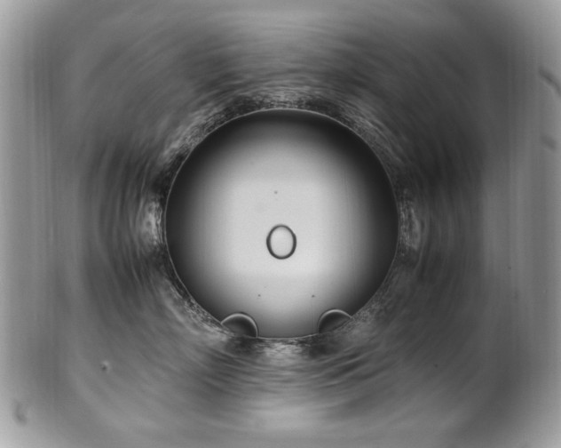 X0000102250718200807251322