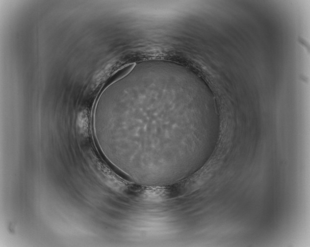 X0000102250720200807251322