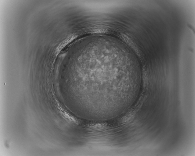 X0000102250721200807251321