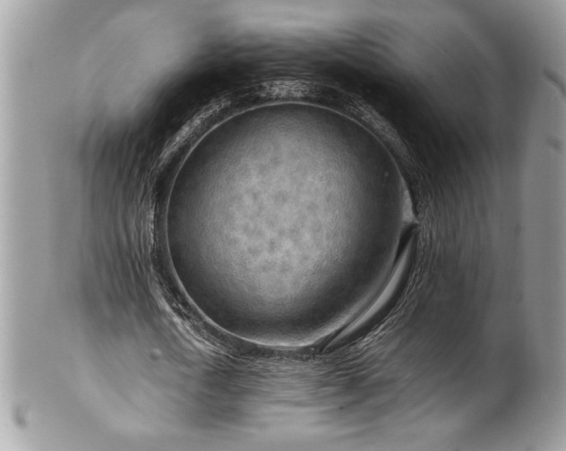 X0000102250722200807251321