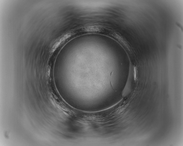 X0000102250723200807251321