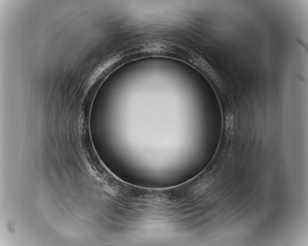 X0000102250724200807251321