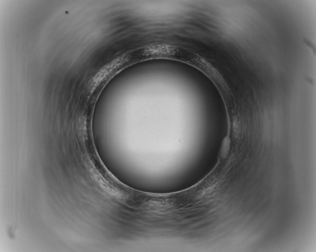 X0000102250725200807251321