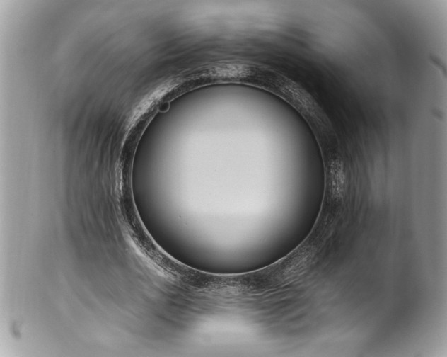 X0000102250726200807251321