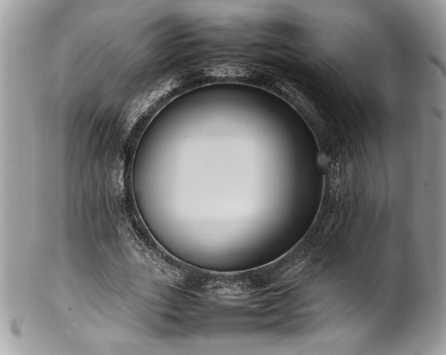 X0000102250727200807251321