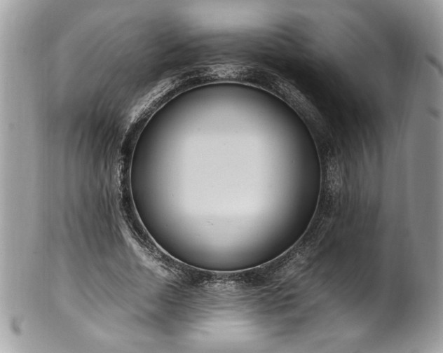 X0000102250730200807251321