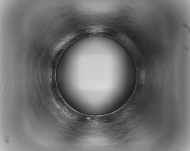 X0000102250732200807251321