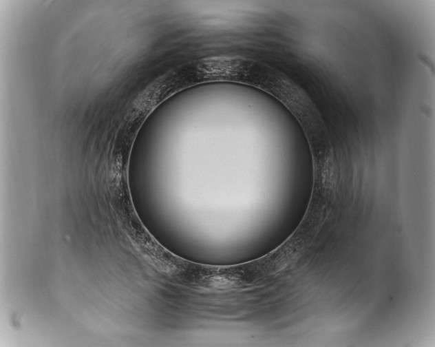 X0000102250737200807251321