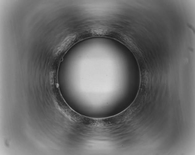 X0000102250738200807251321