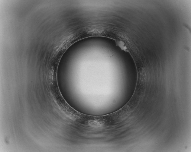 X0000102250739200807251321