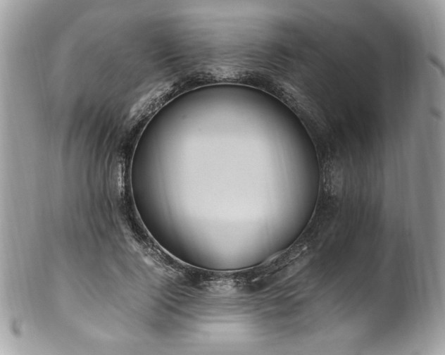 X0000102250740200807251321