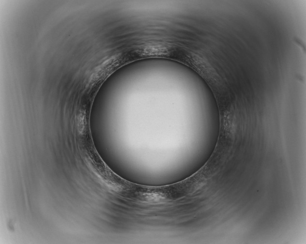 X0000102250741200807251321