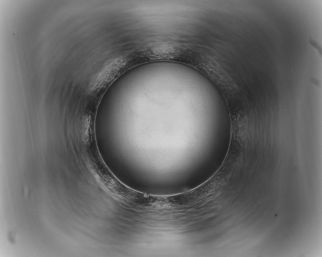 X0000102250742200807251321