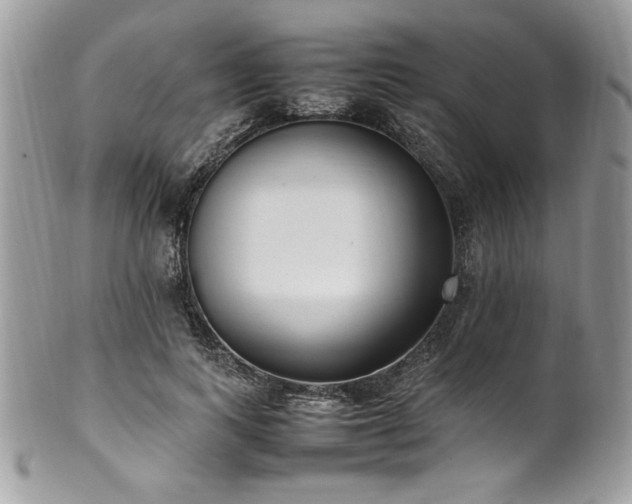 X0000102250743200807251321