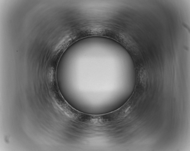 X0000102250744200807251321