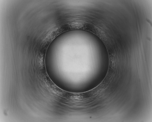 X0000102250745200807251321