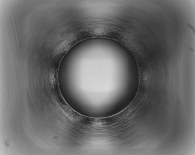 X0000102250746200807251321