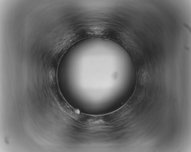 X0000102250747200807251321