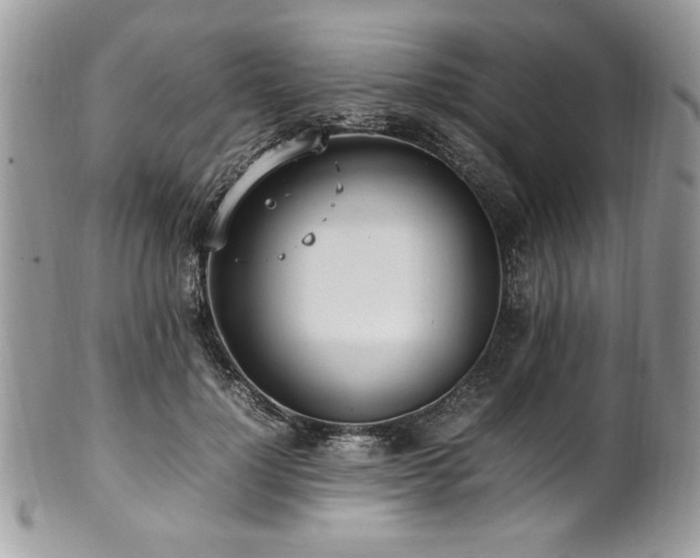 X0000102250748200807251321