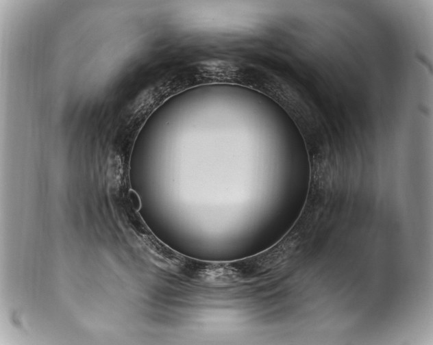 X0000102250752200807251322