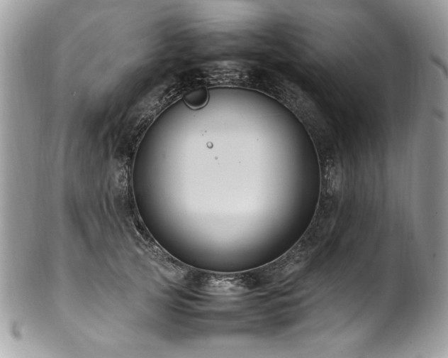 X0000102250753200807251322