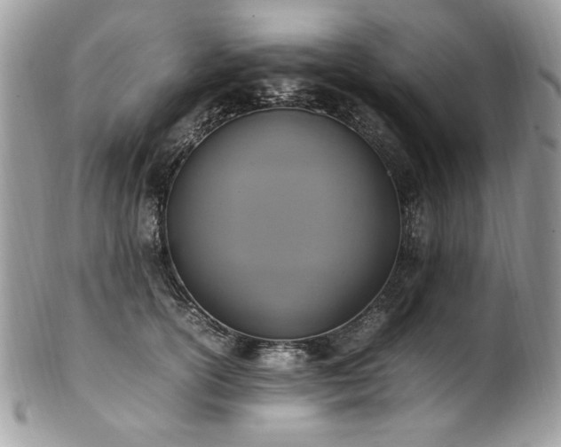 X0000102250754200807251322