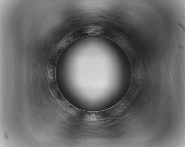 X0000102250755200807251322