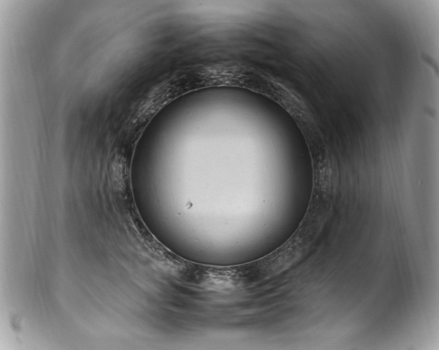 X0000102250757200807251322