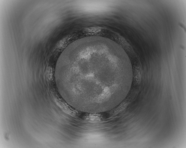 X0000102250758200807251322