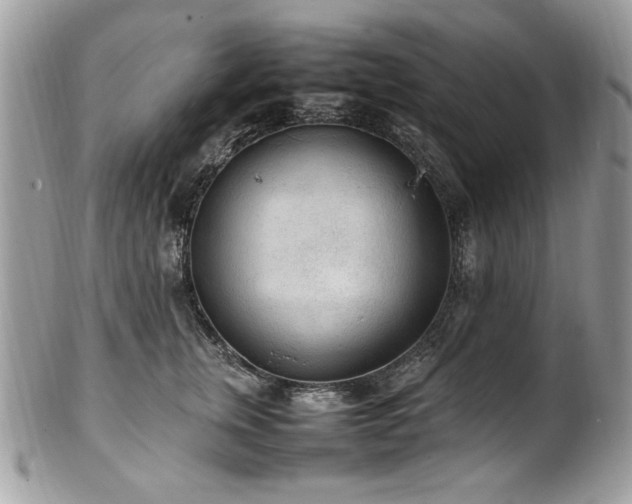 X0000102250759200807251322