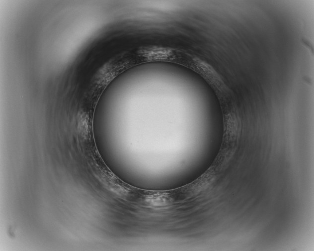 X0000102250761200807251322