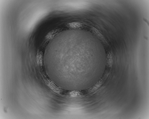 X0000102250762200807251322