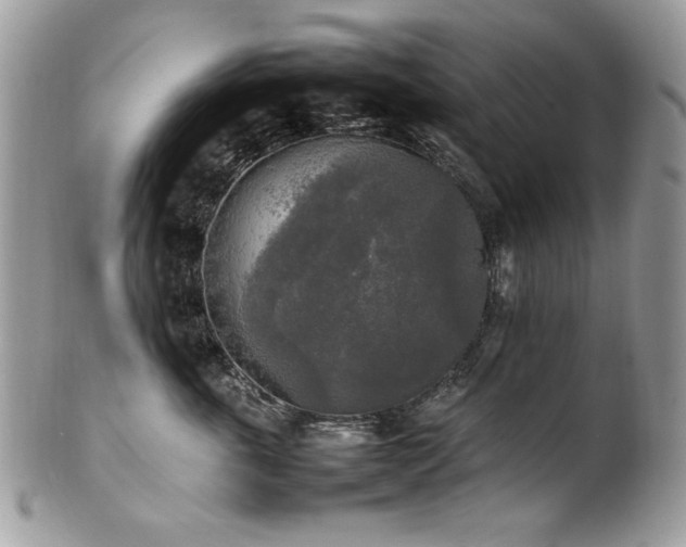 X0000102250763200807251322