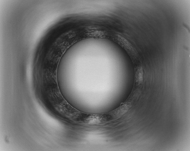 X0000102250764200807251322