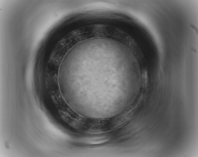 X0000102250765200807251322