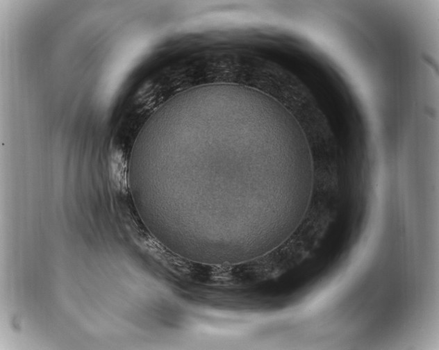 X0000102250766200807251322
