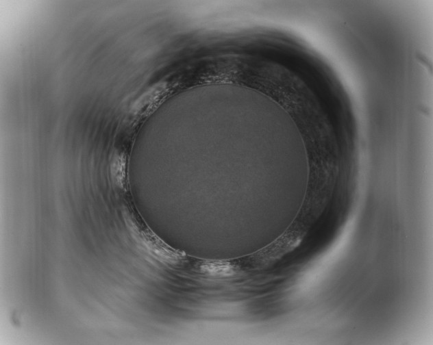 X0000102250767200807251322