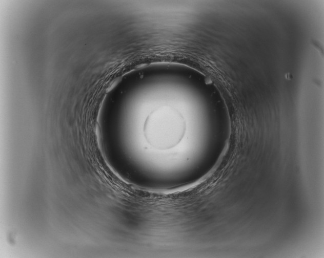 X0000102250769200807251321