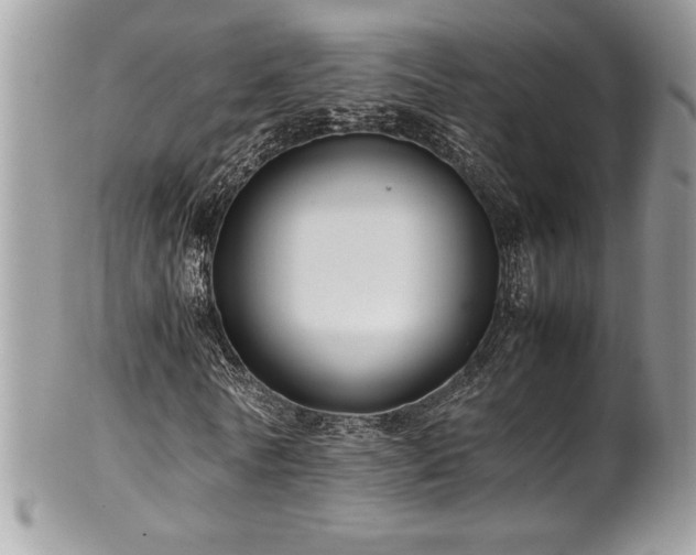 X0000102250770200807251321