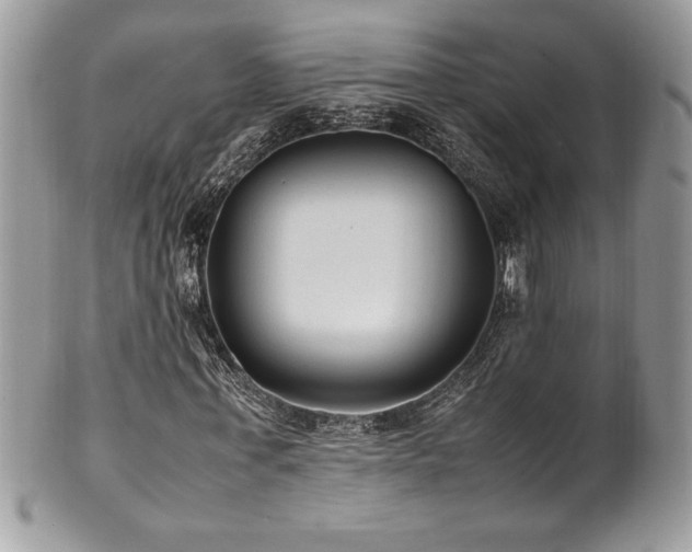X0000102250771200807251321