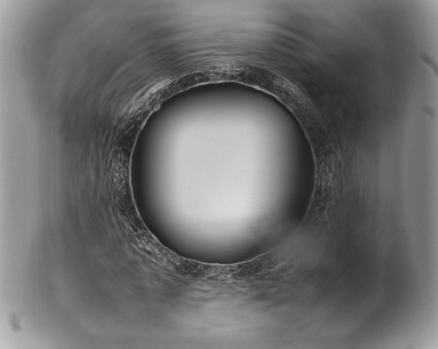 X0000102250773200807251321