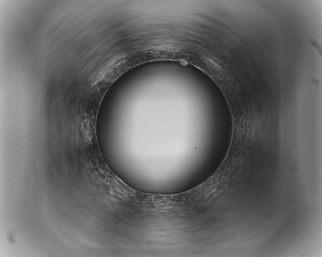 X0000102250774200807251321