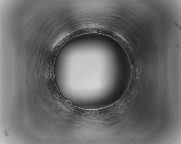 X0000102250775200807251321