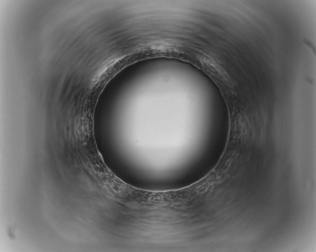 X0000102250776200807251321