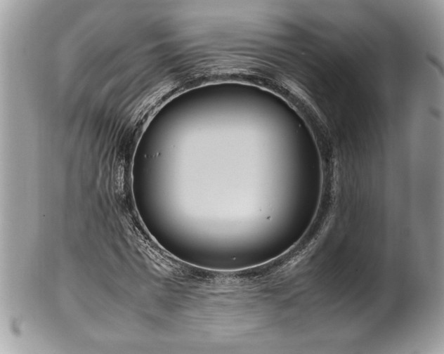 X0000102250777200807251321