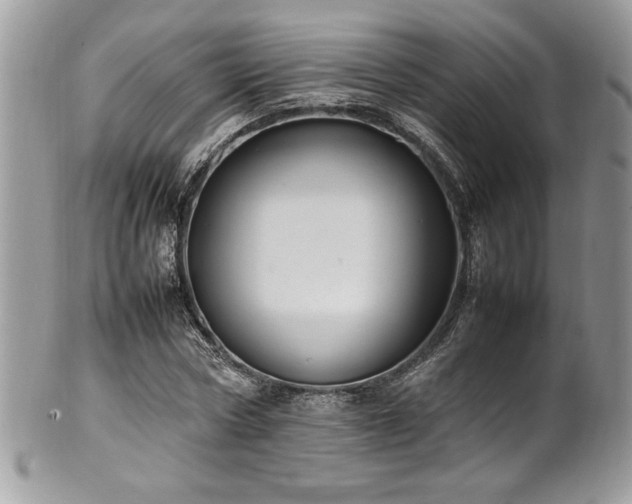 X0000102250778200807251321