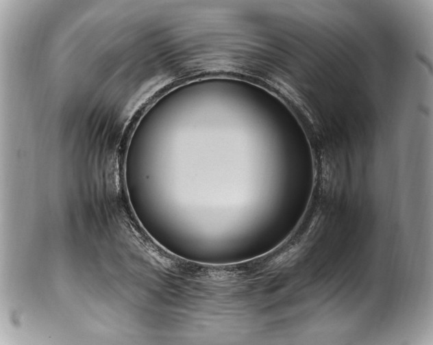 X0000102250782200807251321