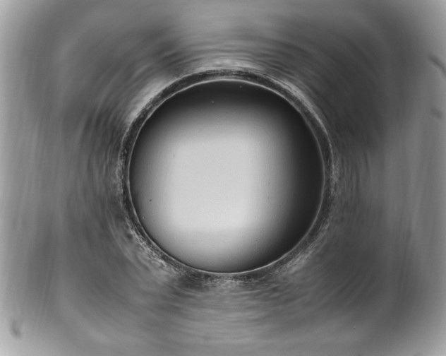 X0000102250783200807251321